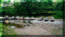 What an enjoyable ride in the jungle