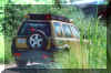 freelanderjungle2.jpg (96389 bytes)