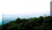 A view at 9000 ft