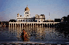 temple dip