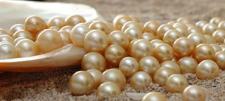 Lombok Cultured Golden Pearls Indonesia