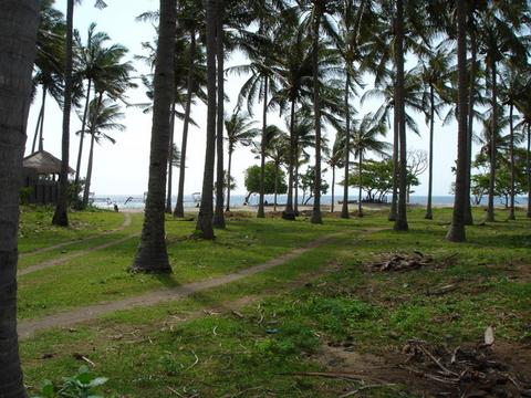properties offers 2 unit property lands for sale next and after Holiday Inn Resort Hotel Senggigi beach Lombok Indonesia