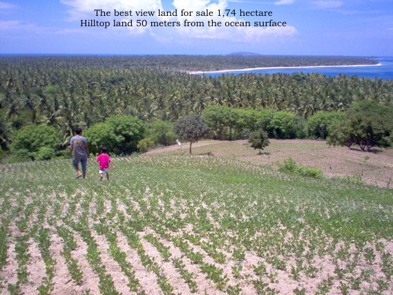 Property Lands for sale next Medana Resort & Restaurant and The Oberoi hotel Lombok Indonesia