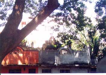 Decorative roof top