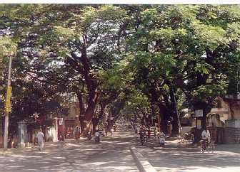A view of Mosque Road