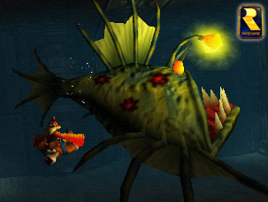 come here , fishy, fishy fishy....