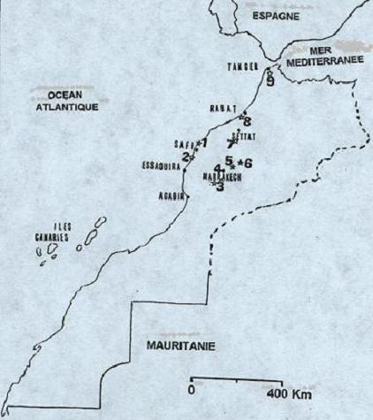 atriplex halimus populations in morocco