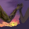 sunsethands.jpg (25856 bytes)