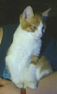 wally3months.jpg (46576 bytes)