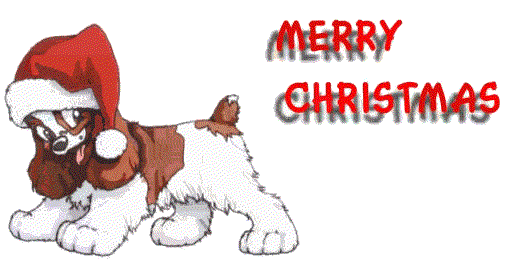 Christmas Banner