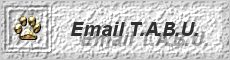 Send Us an Email
