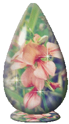 Scarlet Pea