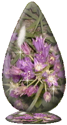 Wild Onion