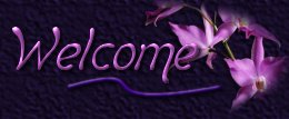 welcome Icon