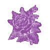 Rose Icon