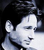 ddcheekbone