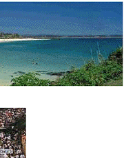Image collage of Gold Coast