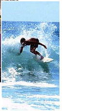 Image collage of Gold Coast