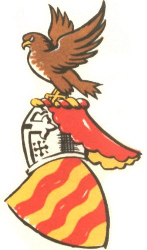 Drummondse helmteken, helm en skild