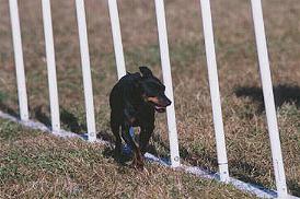 Honey Weave Poles