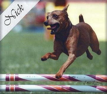 Nick