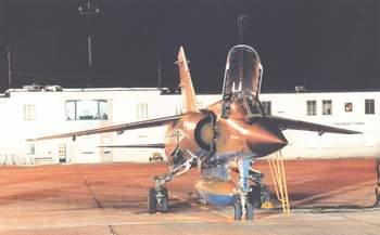 f1_01.jpg (11291 bytes)