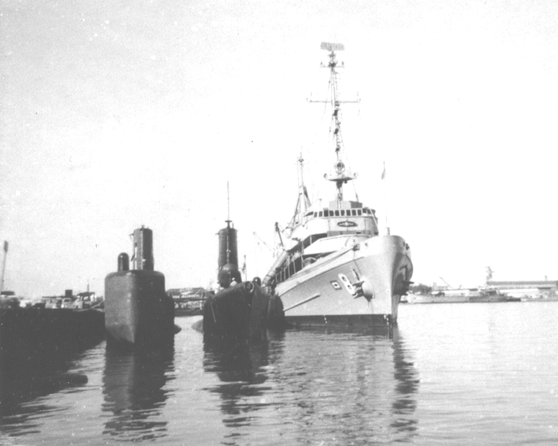f352111-14.jpg