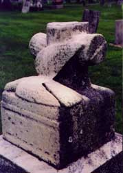 Dove border=1
