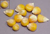 corn_flint100a (3K)