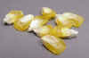corn_sweet_small (1K)