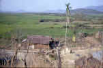 Phu Loc Rice Paddies