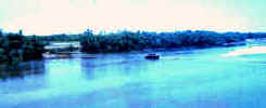 River Ducks