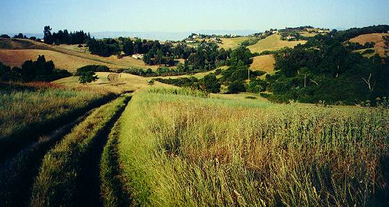 The Meadowlark Trail heading down to join the Perimeter Trail and Corte Madera Trail near the park entrance