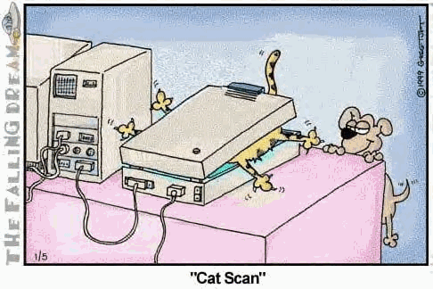 Image of catscan.gif