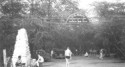 otherpics/andrews03.jpg