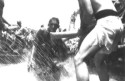 otherpics/shellback006.jpg