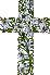 lilycross50.gif