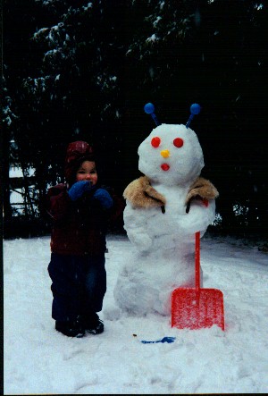 Snowlady