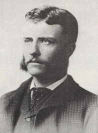 Theodore Roosevelt during days in the Assembly