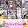 BriteEyes
