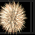 Gift From