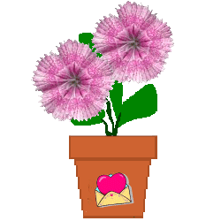 The Site Fights Spirit Flowers