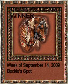 I was the Wild Card winner to the Dome