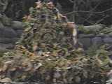 Trash-heap