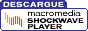 Ir a pagina de Descarga de Macromedia