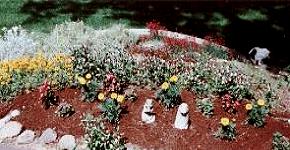 [June Bunny Garden]