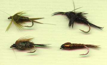 Fly fishing nymphs