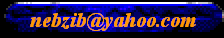 nebzib@yahoo.com