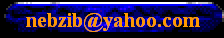 nebzib@yahoo.com
