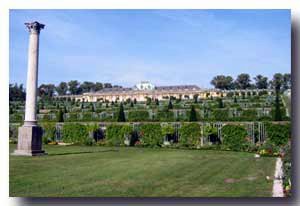 Vi&ntilde;edos  escalonados hasta llegar al Palacio Sanssouci (al fondo)